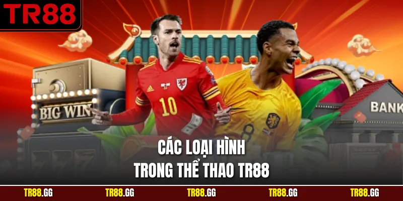 Các loại hình trong Thể Thao TR88
