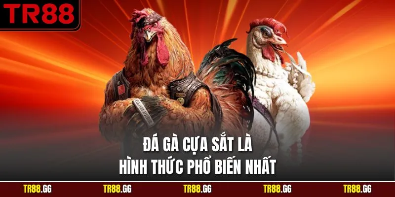Đá gà cựa sắt là hình thức phổ biến nhất
